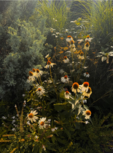 Load image into Gallery viewer, Garden Stories Candle