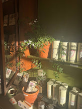 Load image into Gallery viewer, Chamomile Tea