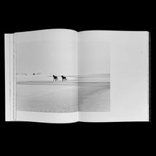 Load image into Gallery viewer, Wild Horses of Cumberland Island