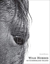 Load image into Gallery viewer, Wild Horses of Cumberland Island