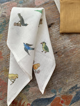 Load image into Gallery viewer, Handkerchiefs