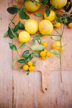 Load image into Gallery viewer, The Gardener's Bundle