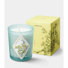 Load image into Gallery viewer, Candle Fleur de Mimosa