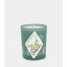 Load image into Gallery viewer, Candle Fleur de Mimosa
