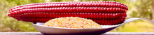 Load image into Gallery viewer, Marsh Hen Mill Organic Heirloom Grains