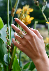 GOGO Armadillo Shell Ring