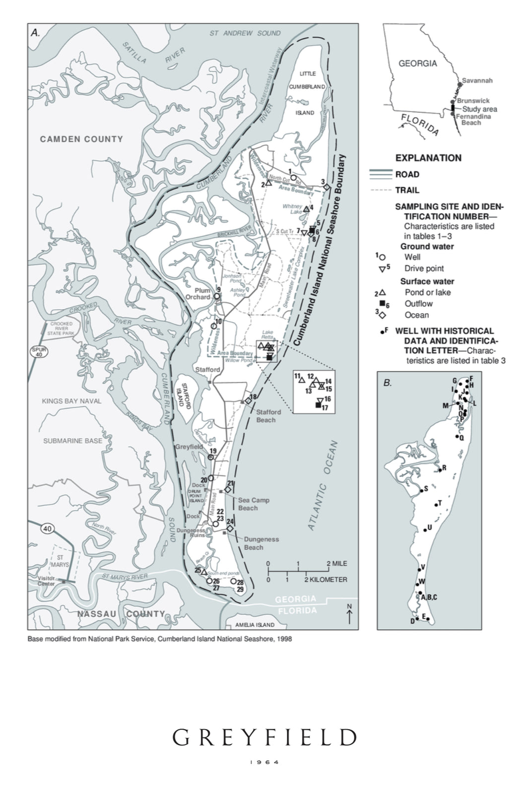 Cumberland Island Postcard