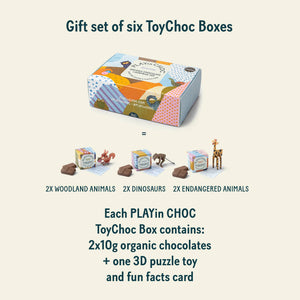 Organic Chocolate Box w/ Animal Toy Set (6)