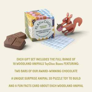 Organic Chocolate Box w/ Woodland Animal Gift Set (18)