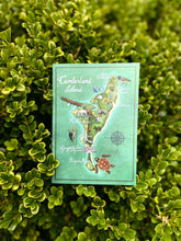 Load image into Gallery viewer, GOGO Cumberland Island Map Illustrated Card

