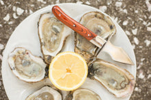 Load image into Gallery viewer, Charleston Oyster Shucker
