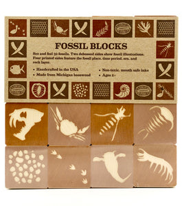 Fossil Blocks