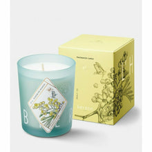 Load image into Gallery viewer, Candle Fleur de Mimosa
