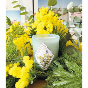 Candle Fleur de Mimosa