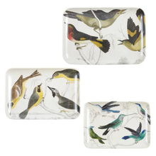 Load image into Gallery viewer, Ornithology Tray Set
