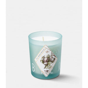 Candle Figue Tropical
